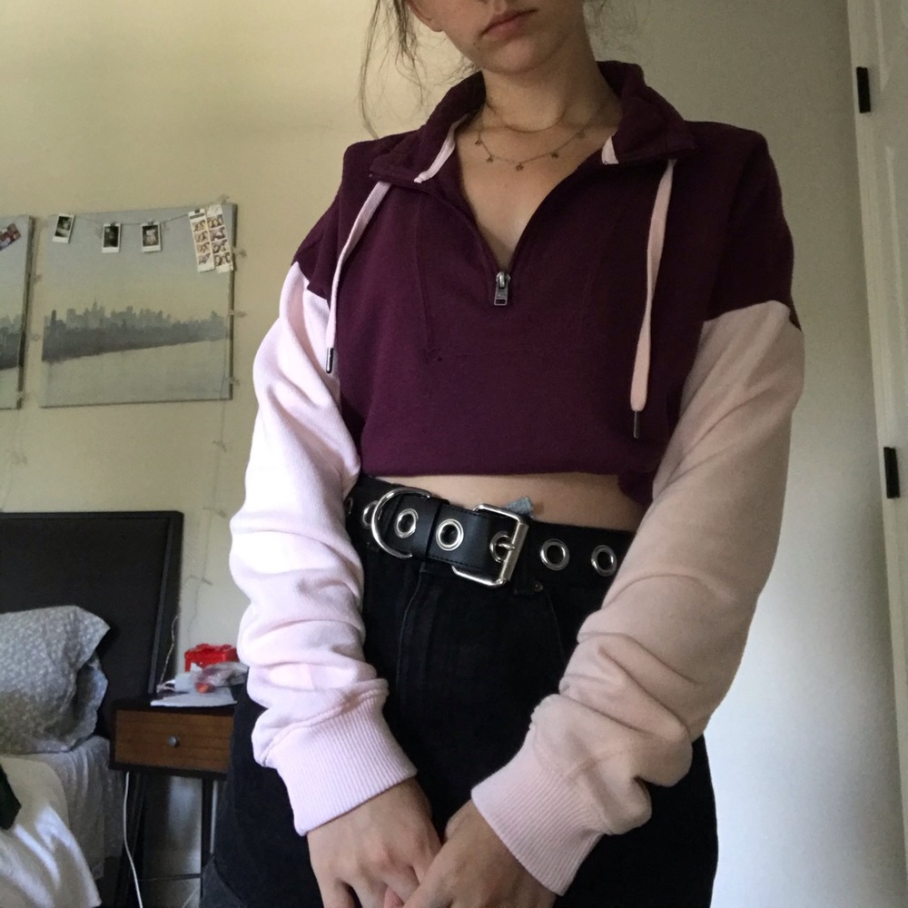 Cropped hollister sweater/shirt